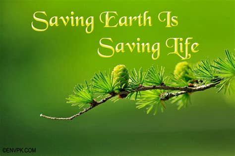 20 Environmental And Ecosystem Restoration Slogans Pictures