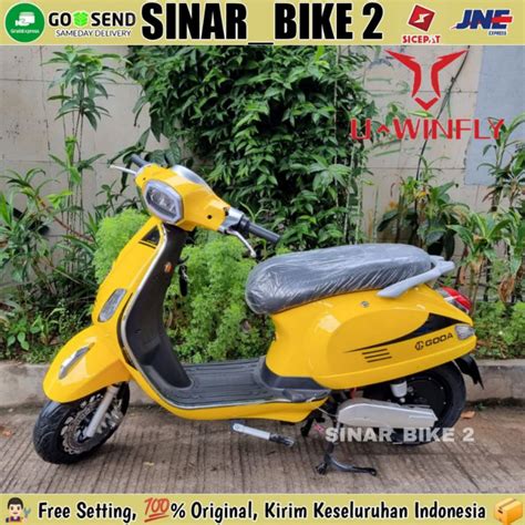 Sepeda Motor Listrik GODA 220 GOLDEN RAPTOR Electric E Bike 800 Watt