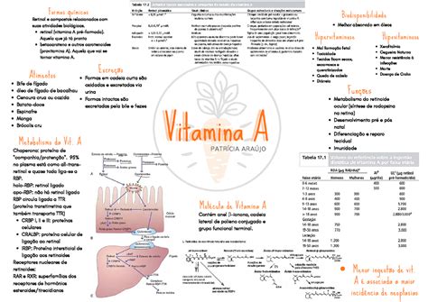 Mapa Mental Vitamina A Metabolismo Da Vit A Crbp I Ii E Iii