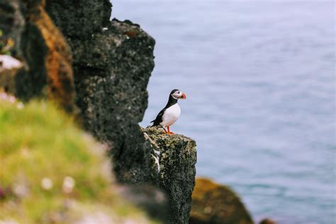 National Trust Devon: 10 Incredible Places To Visit