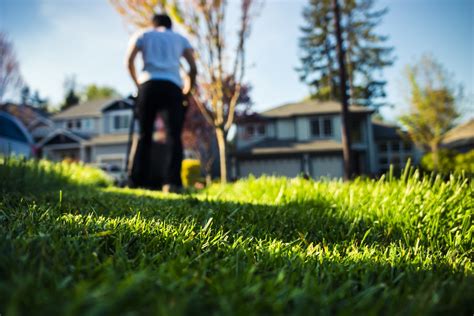 Quality Lawn Care Service In Sarasota County Florida Clean Cut Lawn