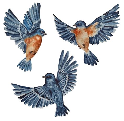 Oiseau Bleu Volant Aquarelle Isolé Sur Fond Blanc PSD Premium