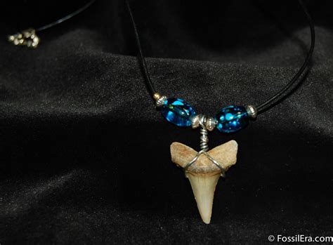 Fossil Mako Tooth Necklace For Sale Fossilera