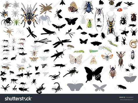 Illustration Insect Silhouettes Isolated On White Stock Vector Royalty