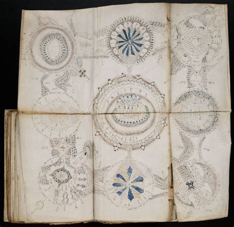 The Th Century Voynich Manuscript And The Naked Women Artofit