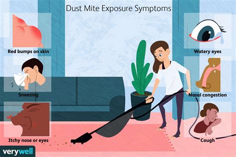 Dust Mite Bites: Treatment, Symptoms, and More