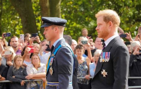 Did Prince William Serve in the Military? How His Career Compares to Harry