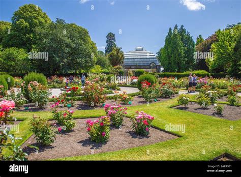 Christchurch Botanic Gardens Popular Tourist Travel Destination In