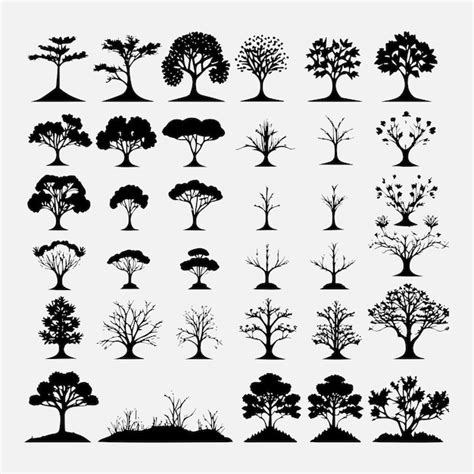 Premium Vector Tree Vector