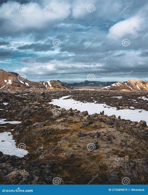 Scenic Landscape With A Grassy Field Blanketed With A Layer Of Fresh Snow Stock Image Image Of