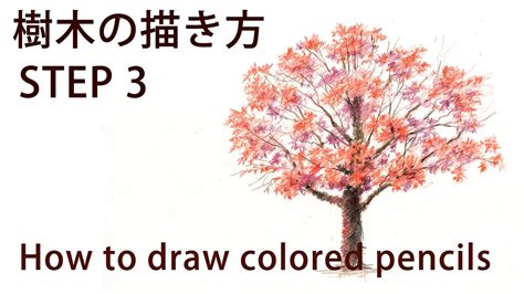 【色鉛筆画】実践編樹木の描き方step 3紅葉の桜を描く How To Coloredpencil Drawing Youtube