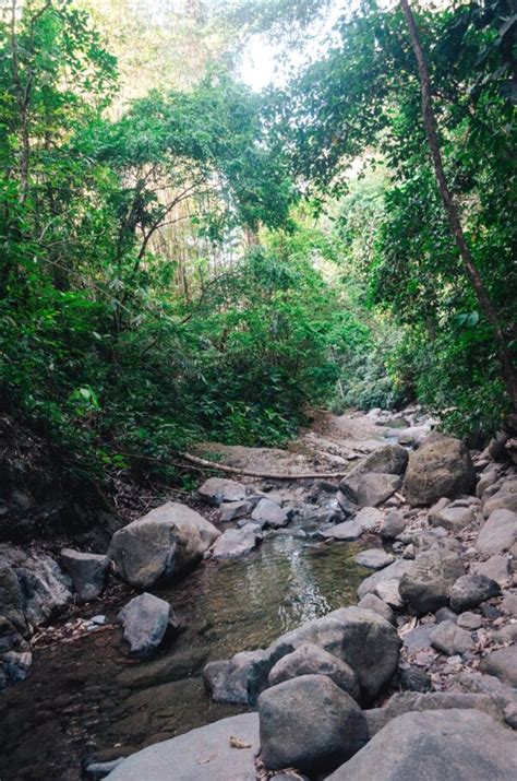 Uvita Waterfall Costa Rica: Full Guide to a Hidden Gem