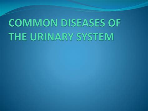 Ppt Anatomy And Physiology Of The Urinary System Powerpoint