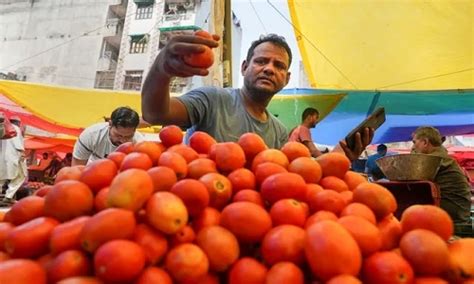 Spike In Tomato Prices Temporary Phenomenon The Hitavada