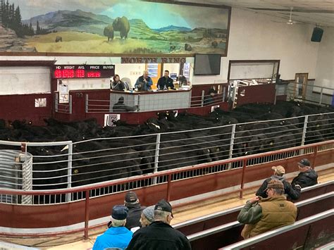 Wangaratta Livestock... - Wangaratta Livestock Exchange