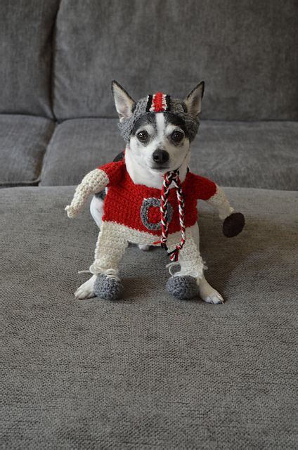 Small Dog Football Player Costume And Helmet Pattern By Stephanys