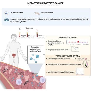 循环肿瘤细胞外囊泡监测转移性前列腺癌基因组学和转录组进化 Cancer Cell X MOL