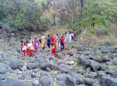 83 Most Beautiful Images In Silent Valley National Park Kerala India