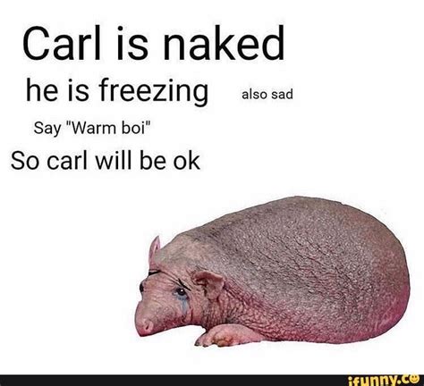 Carl is naked he is freezing ªlsosad Say "Warm boi" So carl will be ok - iFunny | Really funny ...