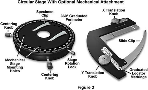 Anatomy of the Microscope - Microscope Stages | Olympus LS