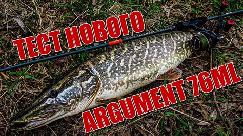 Тест NARVAL ARGUMENT 76ML | Мой новый универсал | Клюнула трофейная ...