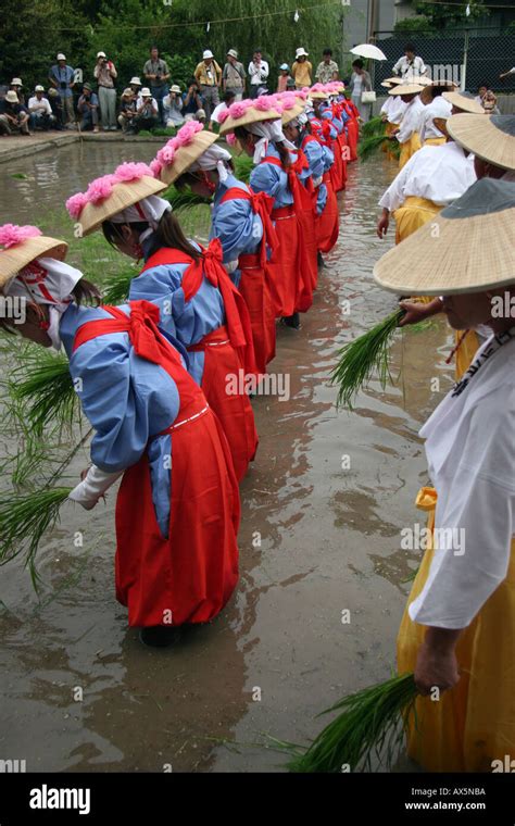 Symbolic rice planting during a harvest festival in Japan Stock Photo ...