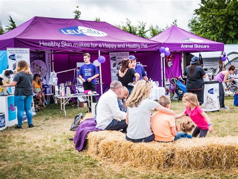 The Essential Benefits of Finding Branded Gazebos for Sale - All About Advertisement