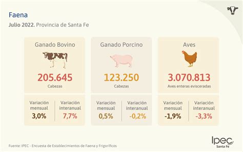 SE FAENARON MÁS DE 200 MIL CABEZAS DE VACUNOS EN LA PROVINCIA