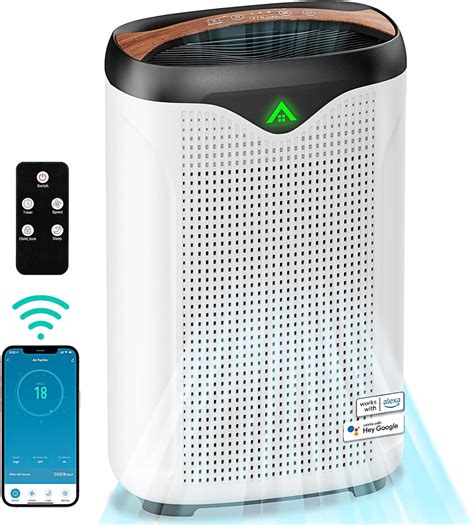 10 Best Air Purifier For Mold And Dust Mites 2022