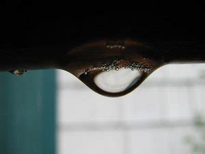 4 Common Reasons Why Your Bath Water Isn T Hot Enough