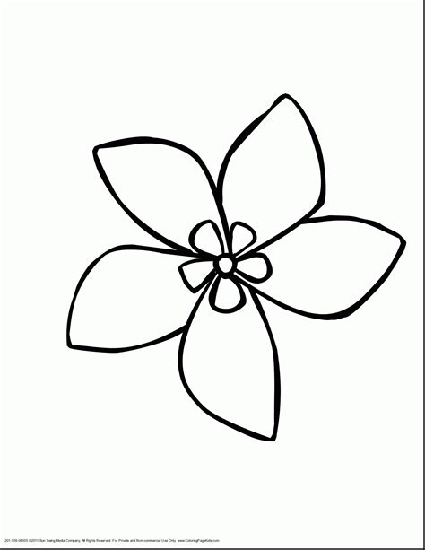 Plumeria Coloring Page at GetDrawings | Free download