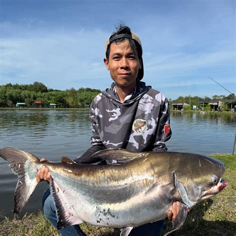 cau ca  ho tri  dinh ca chay qua da cau ca tu nhien ho tri  la