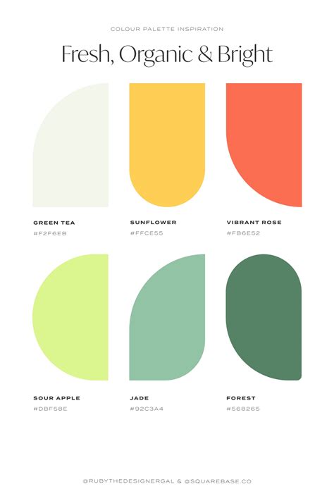 Fresh Organic And Bright Colour Palette For Your Brand Or Squarespace Website Color Palette