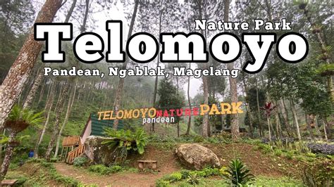 Telomoyo Nature Park Petualangan Menakjubkan Di Puncak Gunung Paged