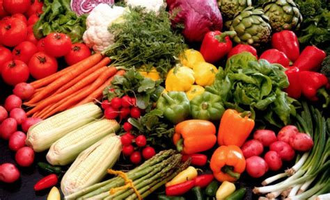 Kenya Starts Exporting Horticultural Products Through Sea Freight