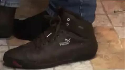 Shane Barrett Free Gay Pornstar Videos Xhamster