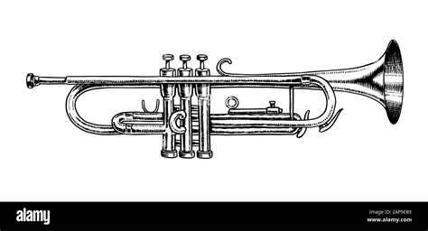 Jazz Instrument Trumpet Vector Illustration Classical Wind Musical