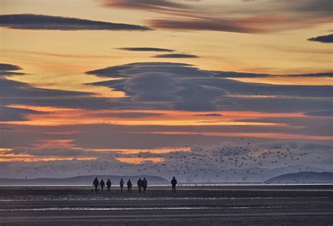 Flock Of Seagulls Findhorn Bay Moray Scotland Transient Light