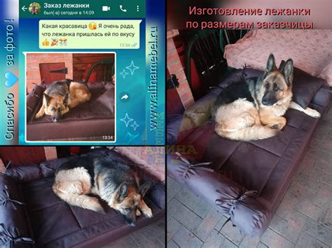 Диваны для собак - Лежанки для домашних животных - забота о любимом питомце