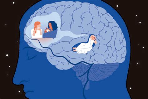 La Estimulación Cerebral Profunda En El Sueño Consolida La Memoria Bmn