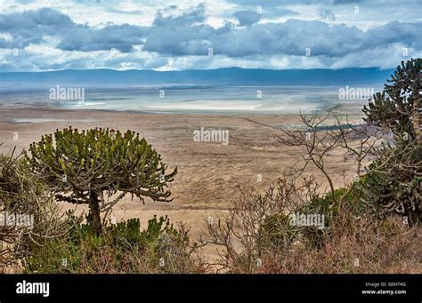 View From The Rim Into The Ngorongoro Crater Ngorongoro Conservation