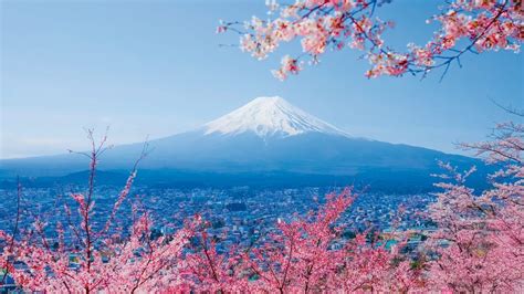 Japan ausführliche Reise Welterbe Reisen