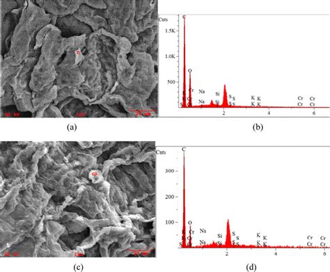 Sem Images Of The Sample Rcc A Hpmc C B And D Were