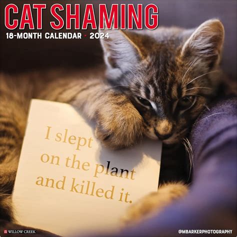 Willow Creek Press Cat Shaming Monthly 2024 Wall Calendar 12 X 12