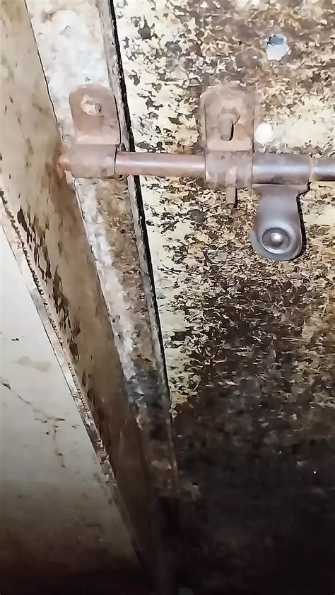 Drained Water While Messaging Gay Handjob Handjob Porn Feat Indian Maharashtra Sangli Xhamster