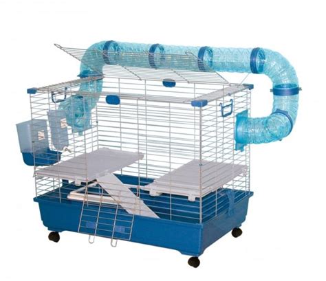 Клетка для хорька: обустройство и изготовление своими руками