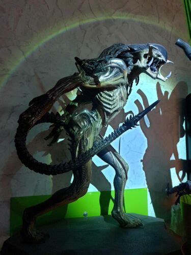 Predalien Maquette Sideshow Collectibles EBay Sideshow Collectibles