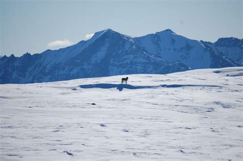 What It’s Really Like to Hunt the Brooks Range - Hunters & Anglers for ...