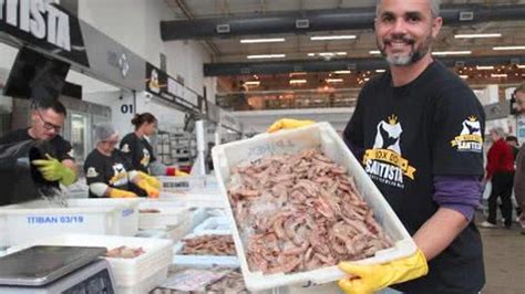 Mercado de Peixes em Santos terá camarão a partir de R 29 99