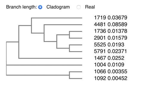 Solved Can you explain your phylogenetic tree? Which taxa | Chegg.com